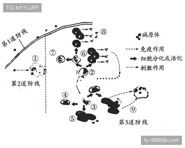 佛得角H组防守表现:末轮零封沙特守住排名 佛得角H组防守表现:末轮零封沙特守住排名